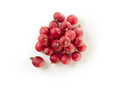 Radish