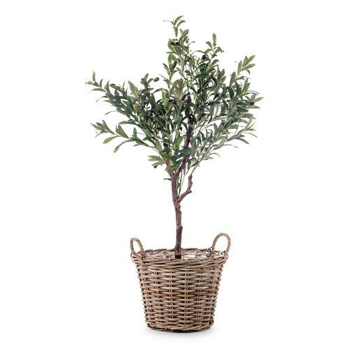 BELAVI Rattan Pflanztopf mit Henkel