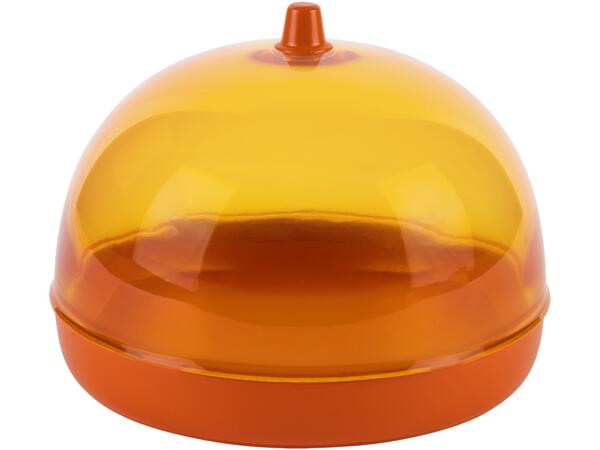 Fruit/ Veg Containers