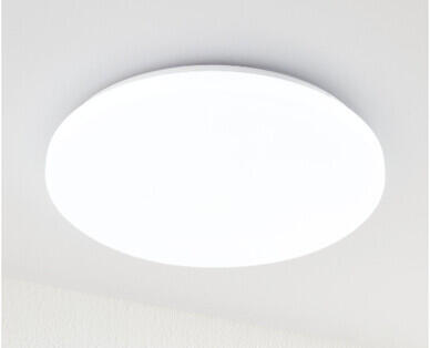 LED Oyster Light