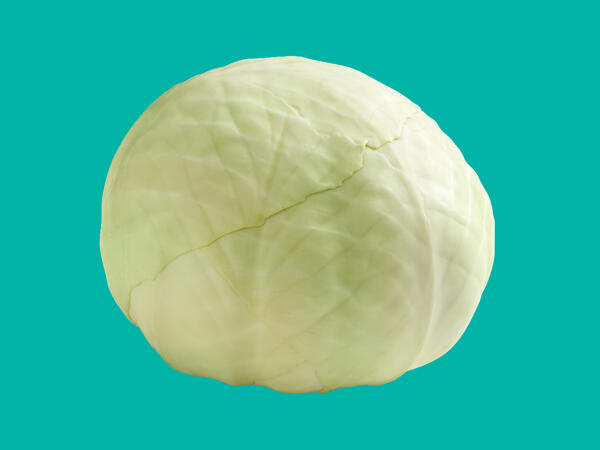 White Cabbage