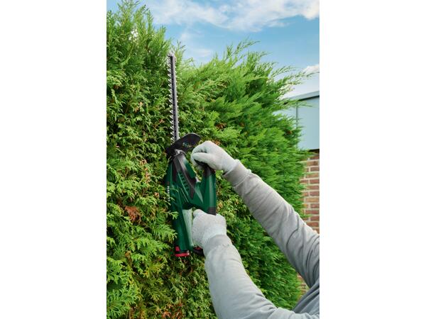 Cordless Hedge Trimmer