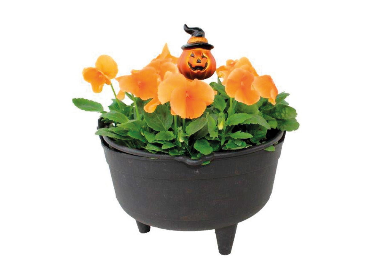 Halloween Cauldron Planter1