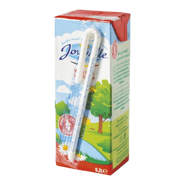 JOYVALLE(R) 				Lait entier, 6 pcs