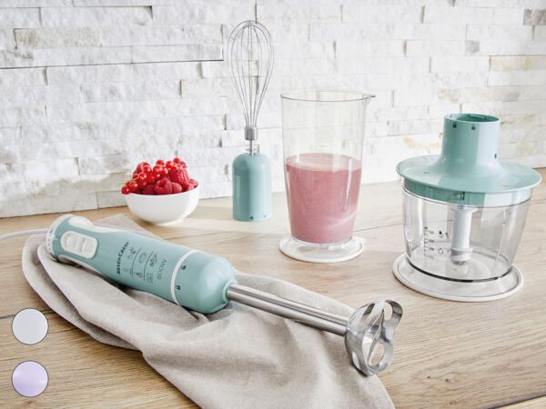 Stabmixer-Set