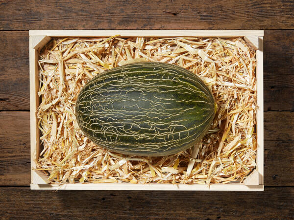Melone sardo (piel de sapo)