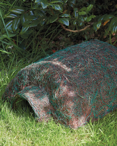 Hedgehog Hogitat House