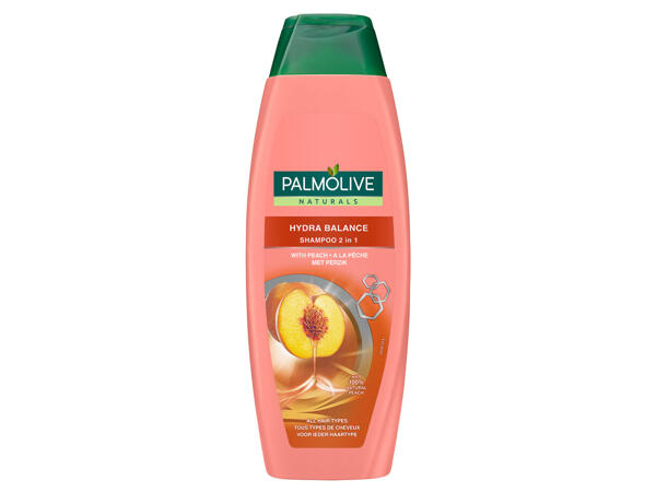 Shampoo oder Duschcreme