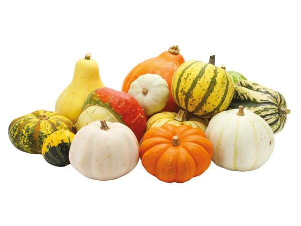 Mixed Gourds