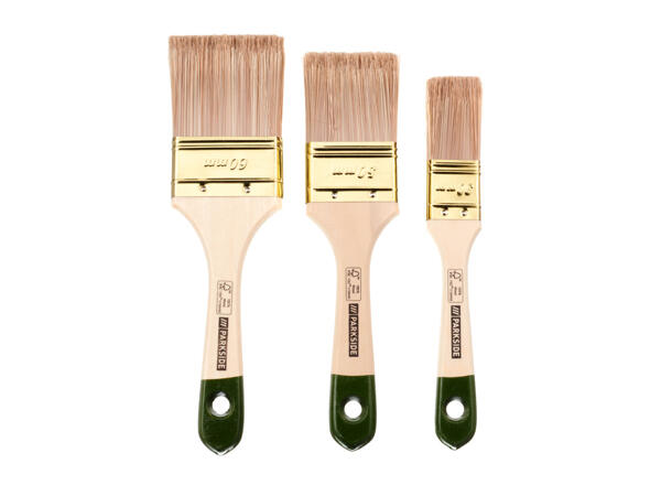 Paintbrush Set