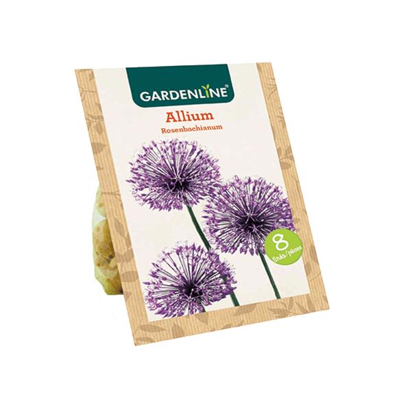 GARDENLINE(R) 				Blumenzwiebeln Zierlauch
