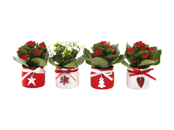 Brændende kærlighed mini i julekeramik