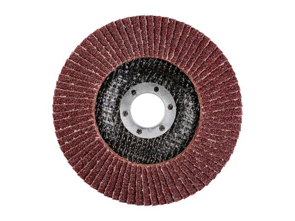 Parkside Flap Disc Set - 4 Pieces