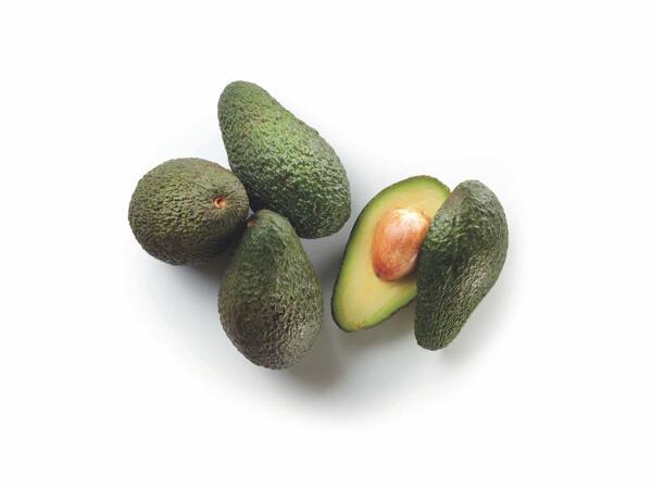 Avocado