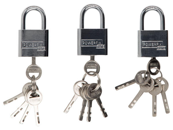 Multipurpose Steel Cable/Padlock Assortment