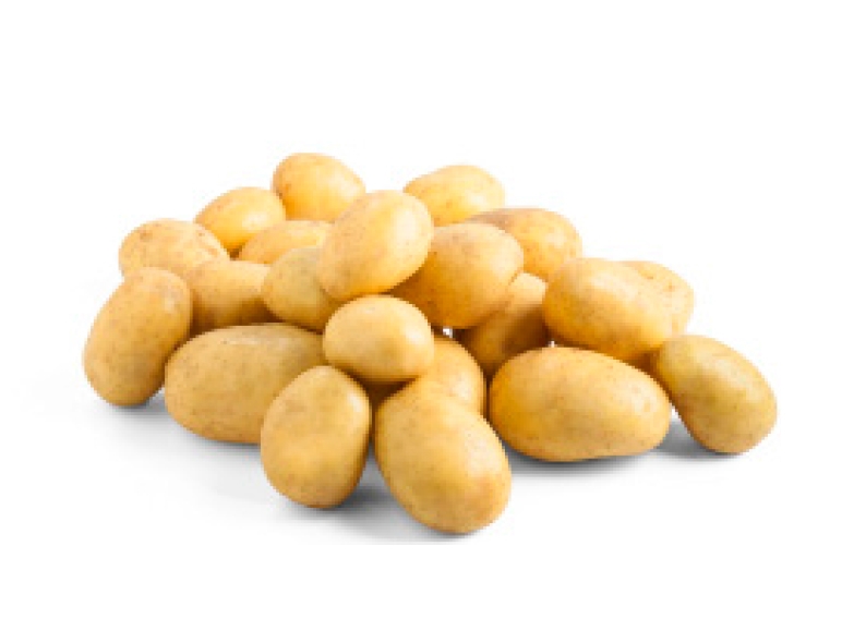 Aardappelen XXL