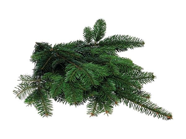 Pyntegran