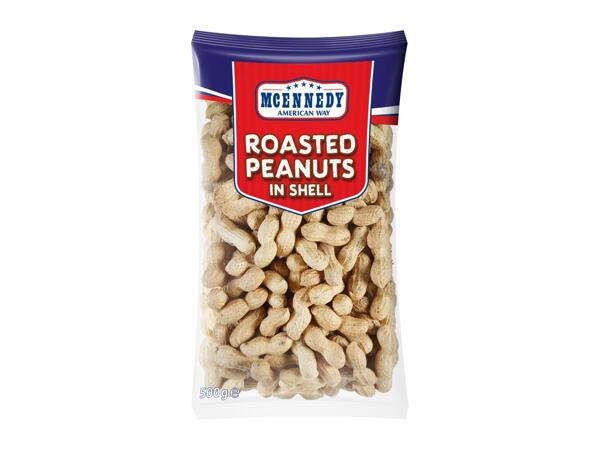 Roasted Peanuts with Shell