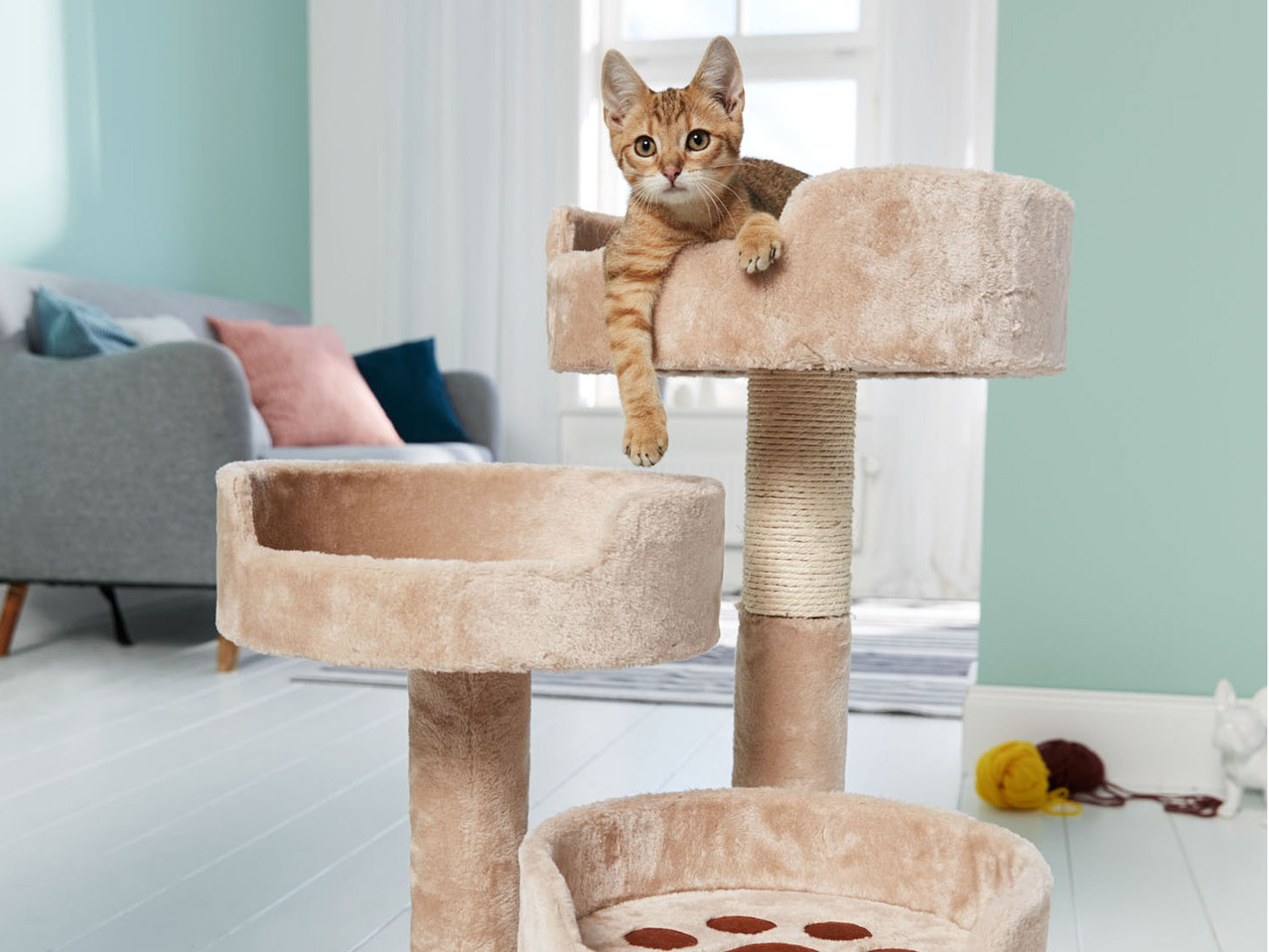 Cat Scratch and Rest Station