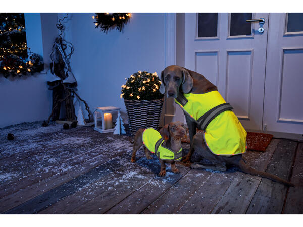 Zoofari LED-hundväst