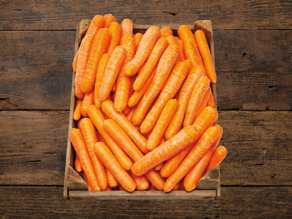 Carottes XXL