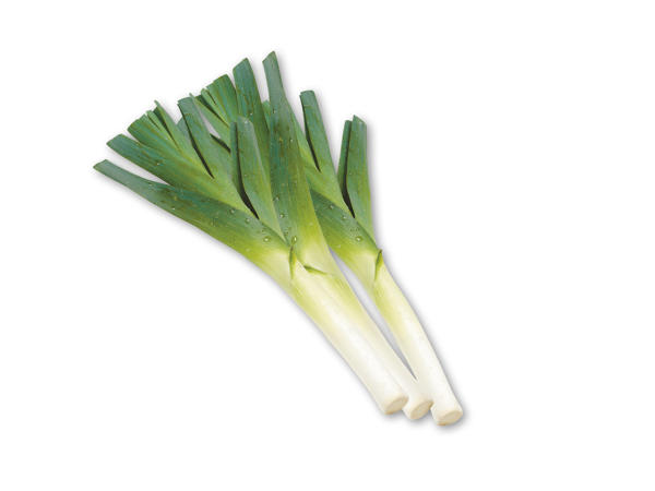 Danske porrer