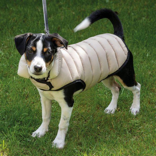 ROMEO(R) 				Hundejacke