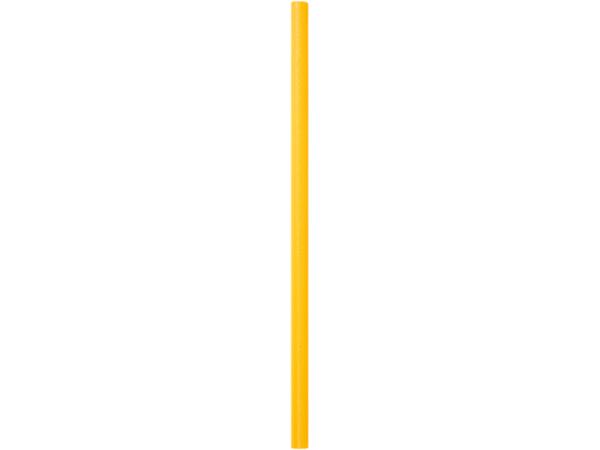 Pool Noodle