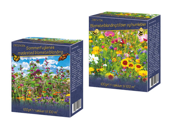 Blomsterblanding frø