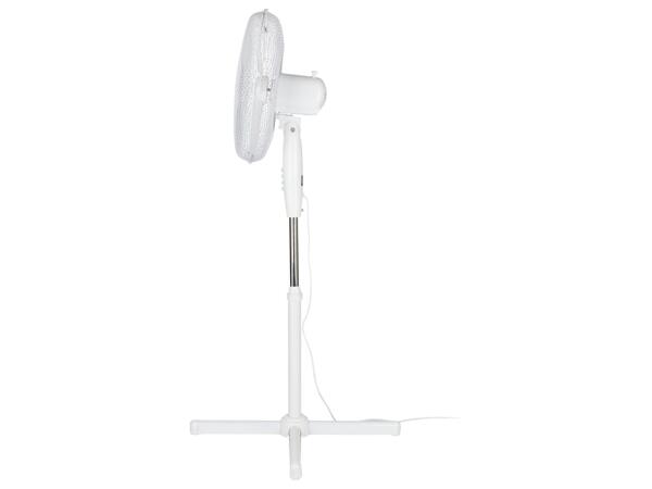 Pedestal Fan