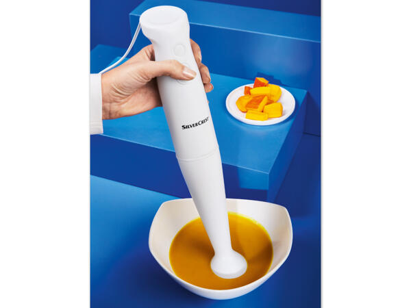 Stabmixer
