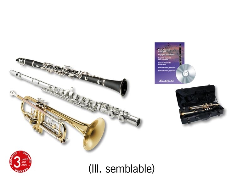 Instrument à vent ***Cet article est disponible uniquement au Tessin.***