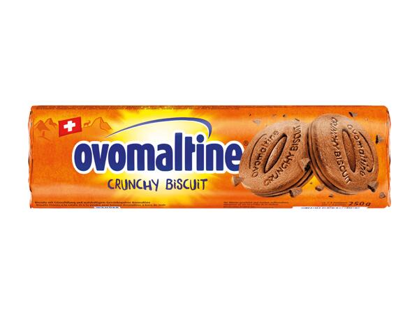 Crunchy Biscuit