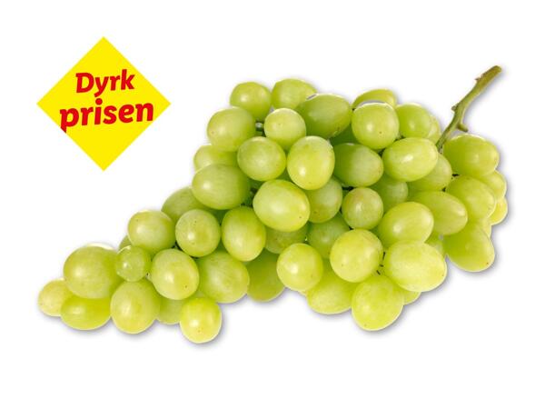 Grønne kernefri vindruer