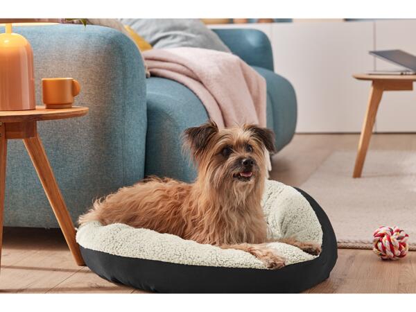 Dog Bed