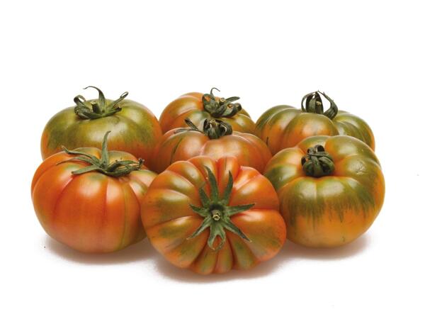 Tomatoes Pachino PGI