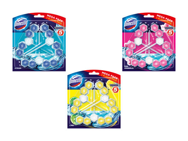Bloc WC Domestos