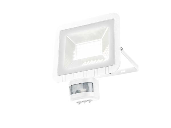 LED outdoor floodlight