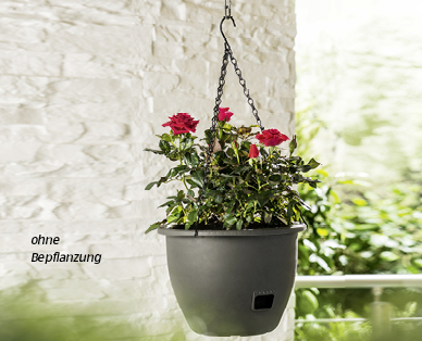 GARDENLINE(R) Blumenampel mit Wasserspeicher