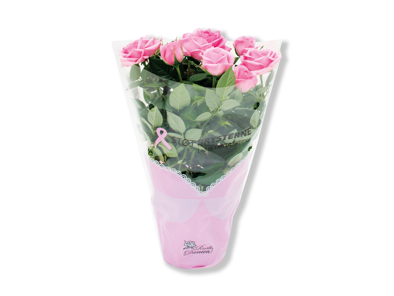"Støt brysterne" rose