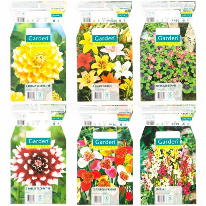 Bulbes à fleurs