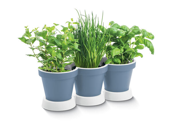 Parkside 3-in-1 Herb Planter