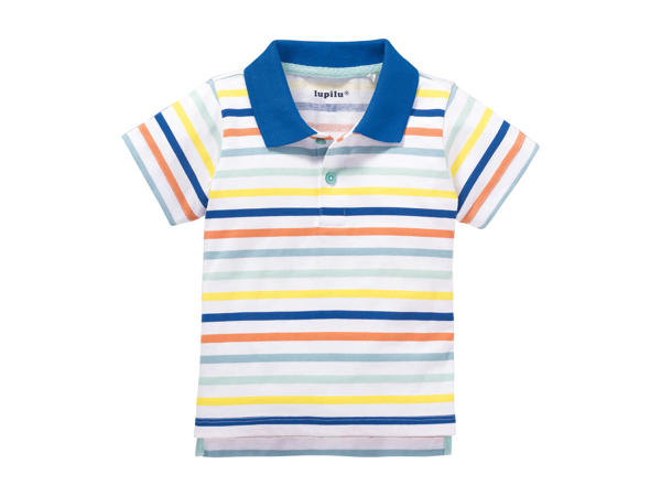 Polotriko