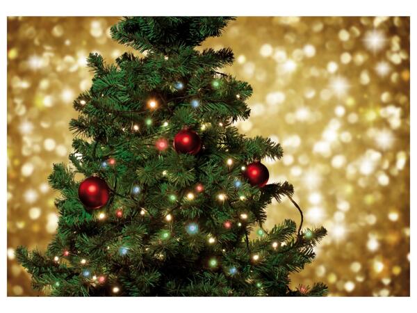 50 LED fairy lights