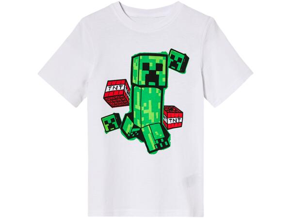 Minecraft TRIKO