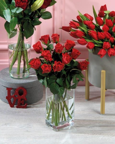 Dozen Red Roses