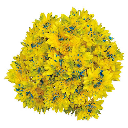 Fresh Flower Bouquet - Assorted Color