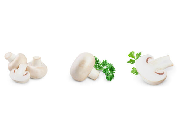 Champignons