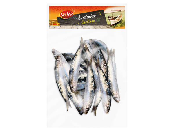 Sardinen
