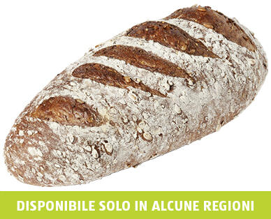 GOURMET 
 PANE PROTEICO